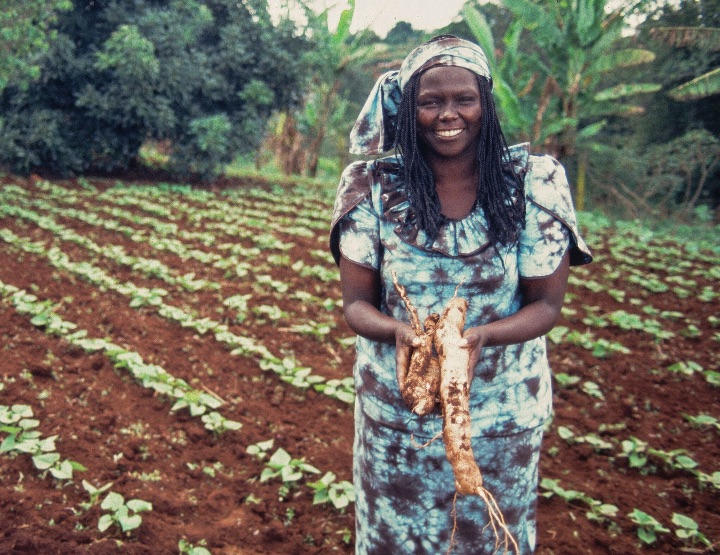 Wangari Maathai