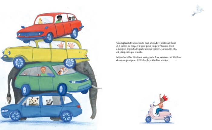 éléphant jenni desmond 2